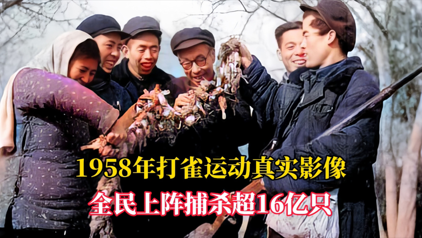 图库黑白图印刷区印刷图库,雷军回应3天卖出1万辆SU7 Ultra,创新典义解读_精英版V12.35