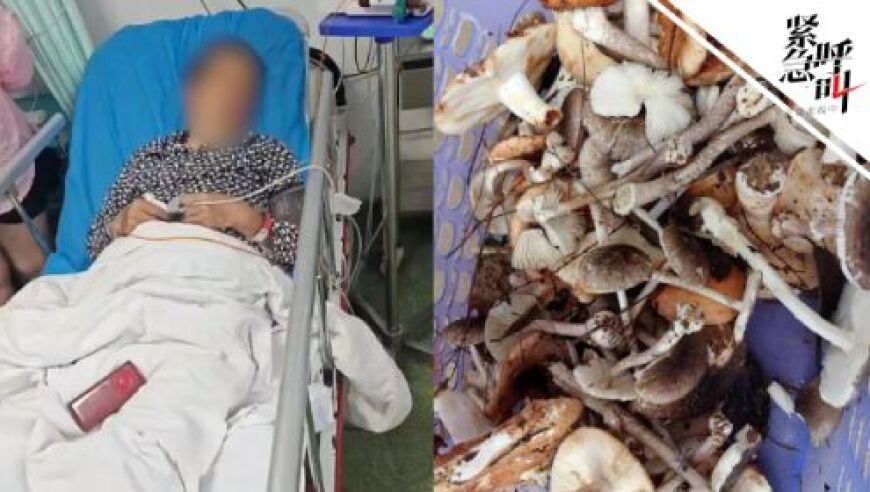 香港6合和彩官网开奖网站直播视频大全,江西通报初中生在校坠楼身亡,广泛的解释落实支持计划_手机版V9.89